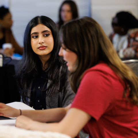 Student Design Fellows Report