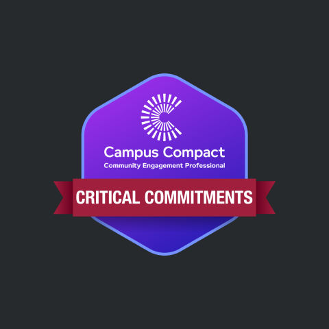 Critical Commitments badge