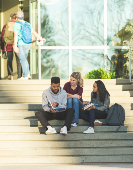 students sitting on college campus